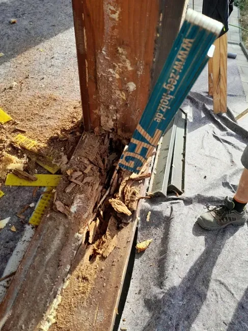 Leider keine Bildbeschreibung für 20220829_085235.jpg vorhanden.